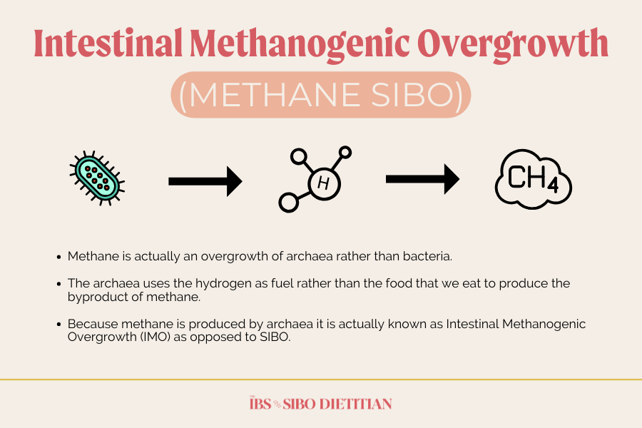 Methane SIBO Gas