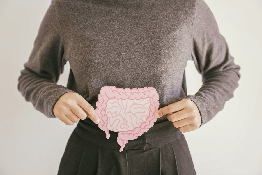Roles of intestines