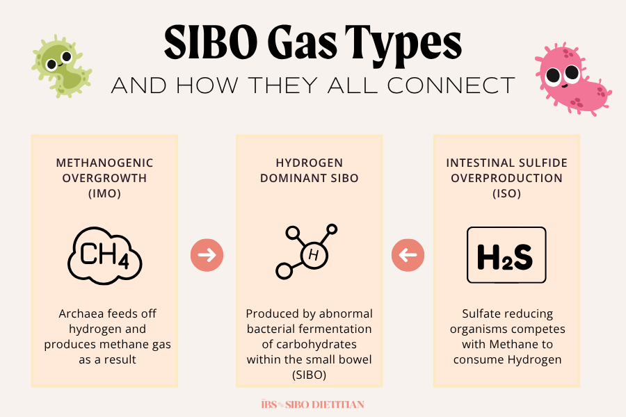 SIBO gases