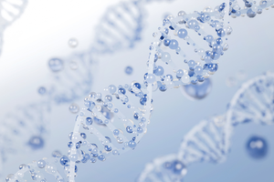 BPC 157 and the gut