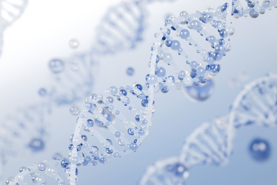 BPC 157 and the gut